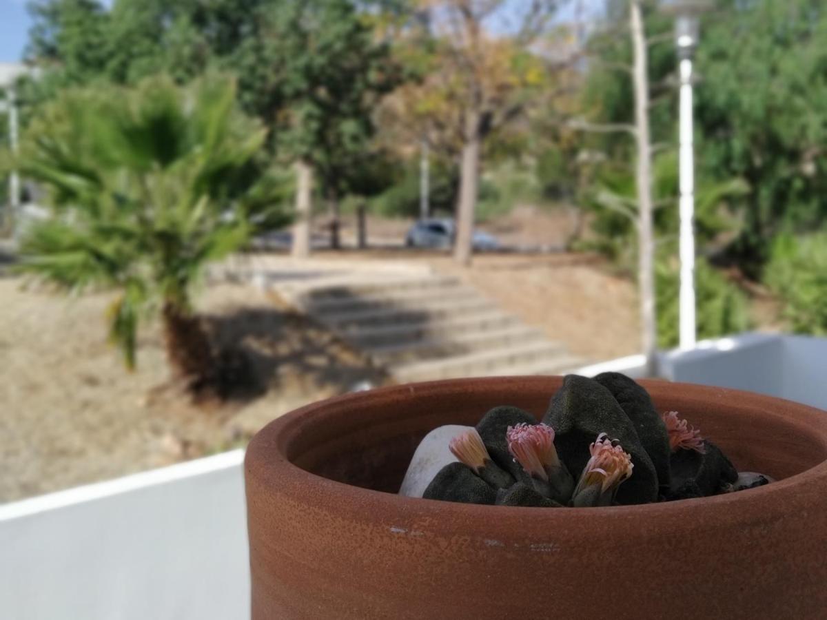 רודאלקילאר Piedranegra, Apartamento Completo Con Patio, Terraza Y Bbq מראה חיצוני תמונה
